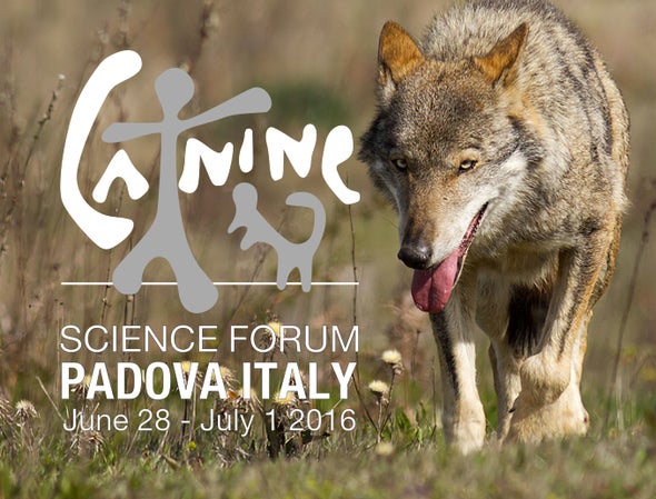 Countdown to the Canine Science Forum