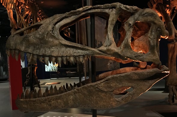 The Rise and Fall of the Shark-Toothed Dinosaurs - Scientific American Blog Network