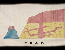 A Pioneering Female Scientific Illustrator, Rediscovered