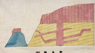 A Pioneering Female Scientific Illustrator, Rediscovered