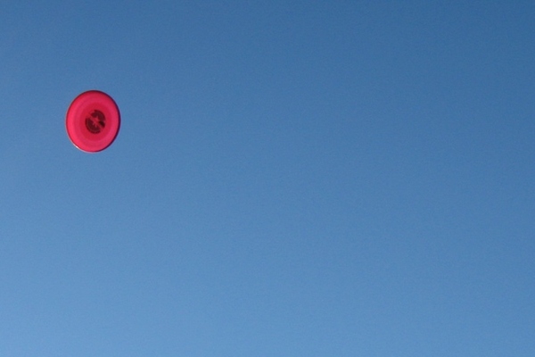 A red frisbee in a clear blue sky