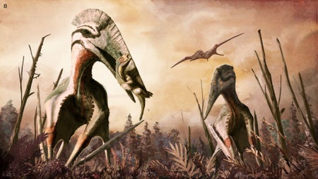 Pterosaur