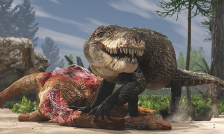 Croc
