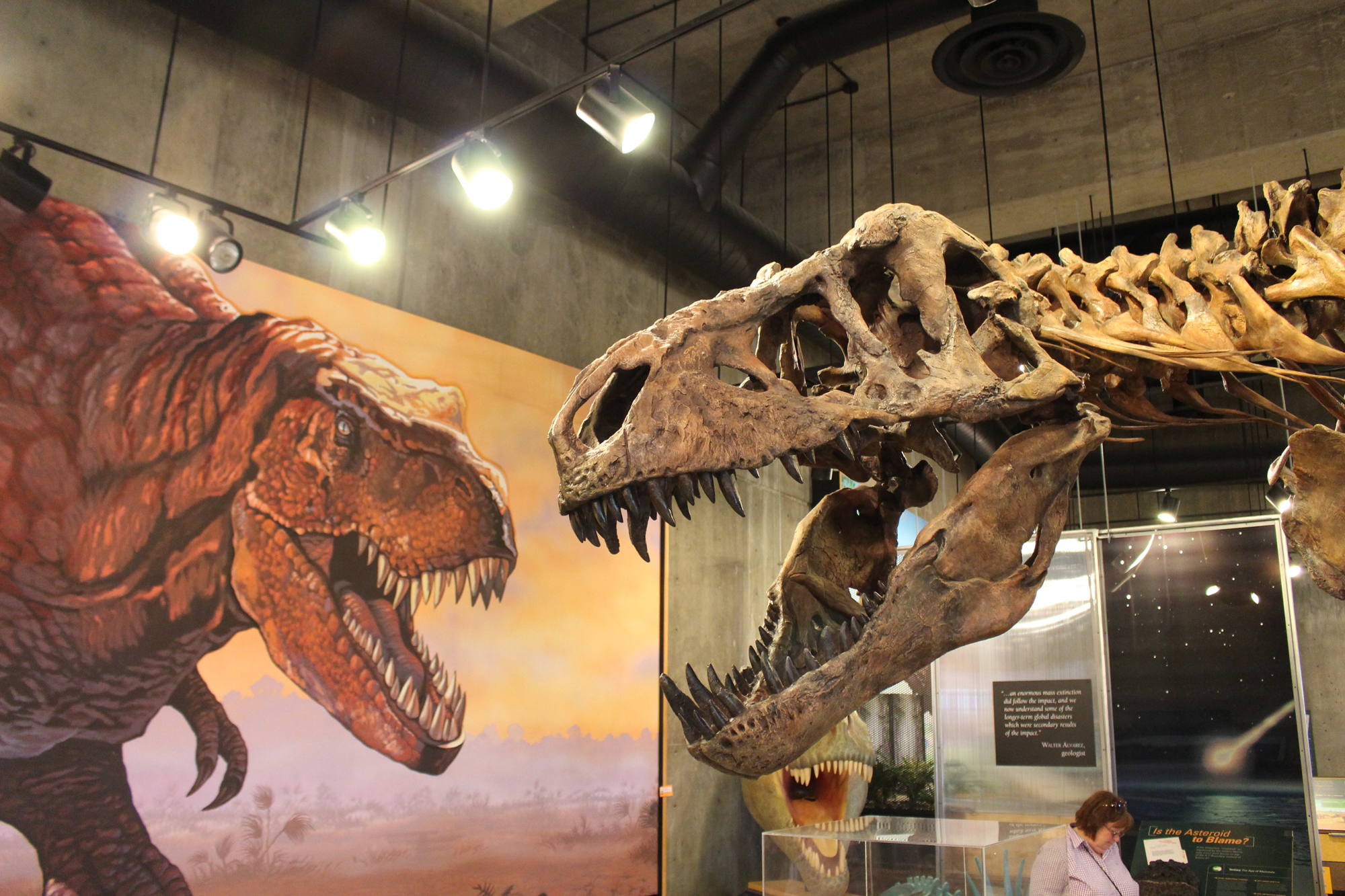 Исторические динозавры Ладожской