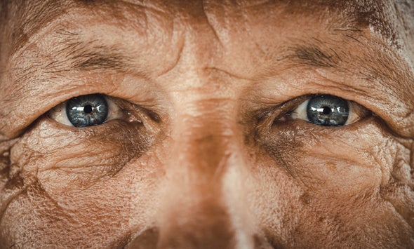 The Language You Speak Influences Where Your Attention Goes