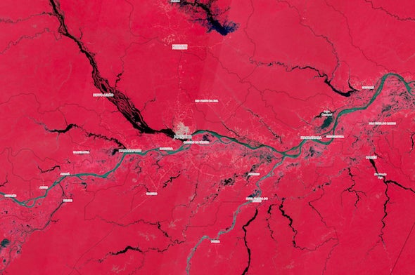 Forecasting Outbreaks&mdash;1 Image at a Time