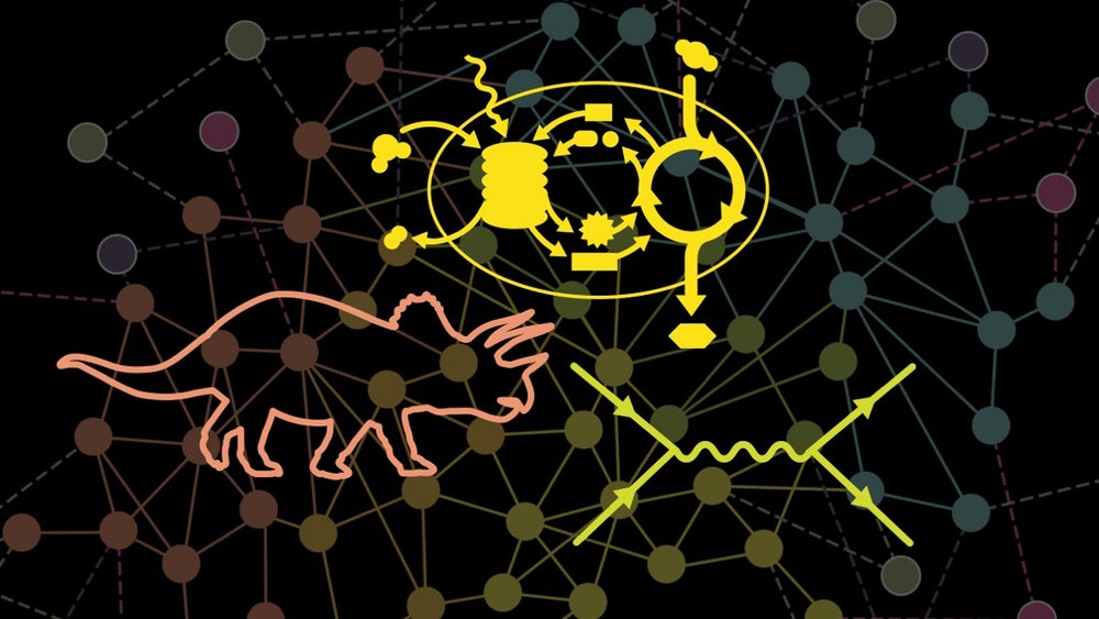 Visualizing Science: Illustration and Beyond | Scientific American