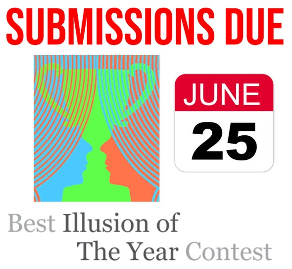 Call for Illusion Submissions: The World's Annual Best Illusion of the Year Contest
