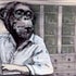 The Primate Diaries