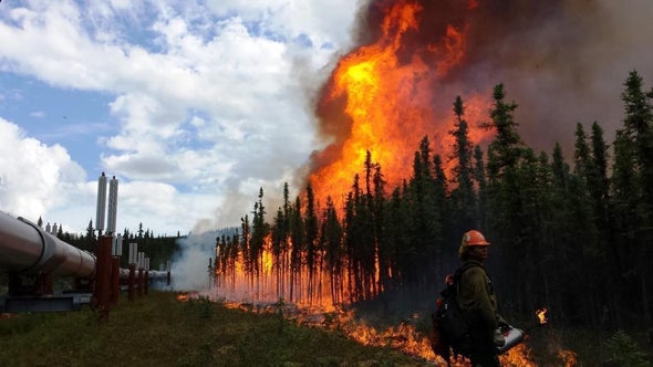 As Alaska Warms, Wildfires Pose a Growing Threat