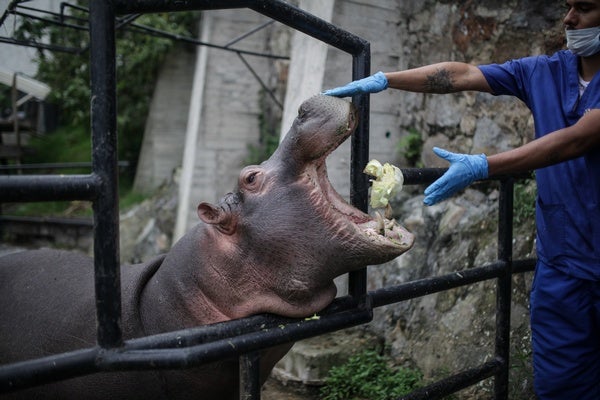 Social Distancing at the Zoo - Scientific American Blog Network