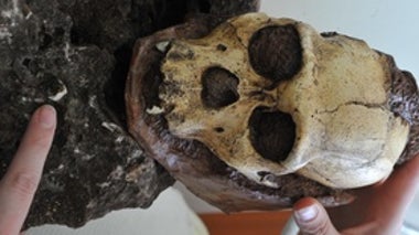 Contemplating the Lives behind Ancient Bones