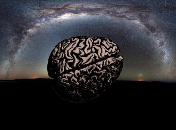 500-Million-Year-Old Brains and Life in the Universe - Scientific