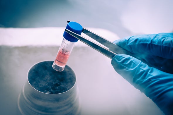Don't Believe Everything You Hear about Stem Cells - Scientific American  Blog Network