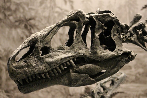 Can anyone identify what dinosaur this is supposed to be, it looks like an Allosaurus but with Rex fingers : r/Dinosaurs