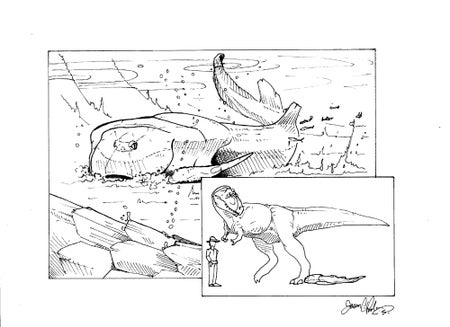 B. rex