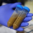 The Physics of Poop - Scientific American