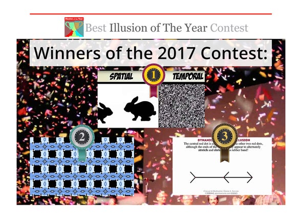 The Best Illusions of the Year