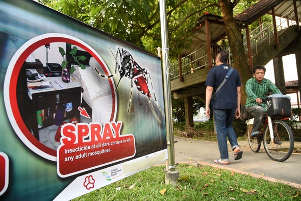 What's Special about the Zika Virus in Singapore?           