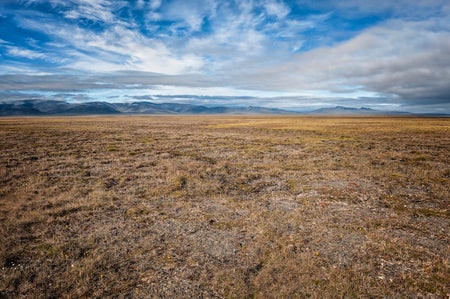 Scientific American Logo