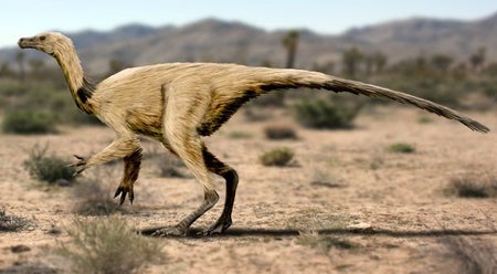 Dinosaur