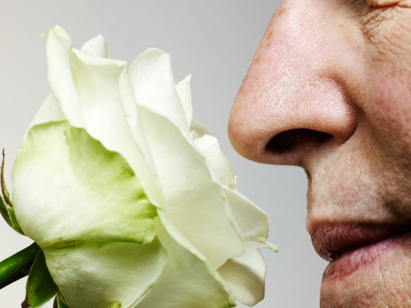 Loss of Smell in COVID-19 Can Present with Brain Alterations
