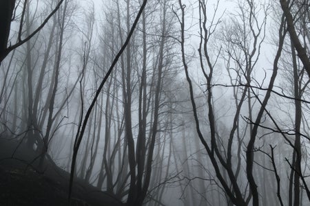 Pepperwood Preserve
