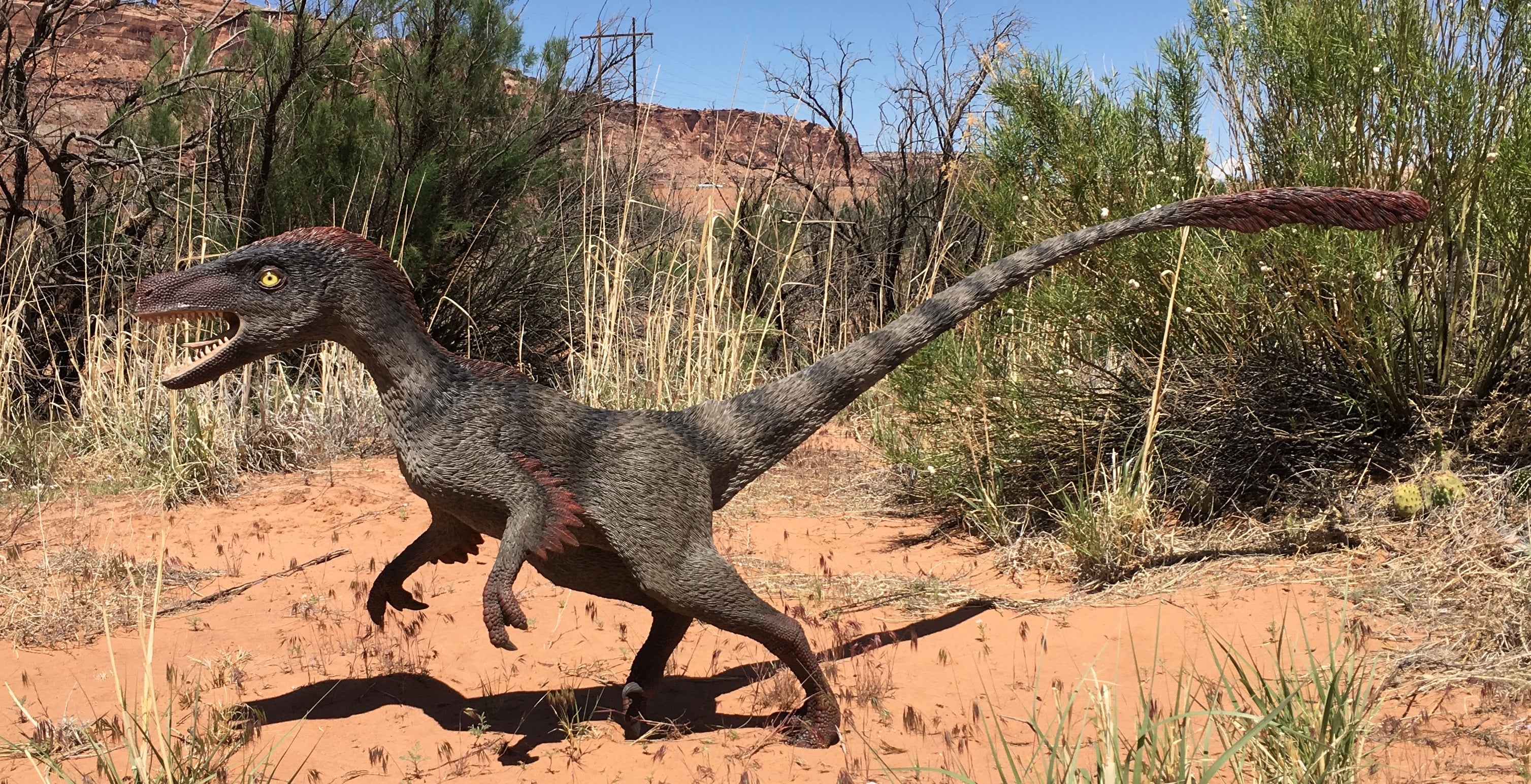 Velociraptor Feathered Deinonychus Raptor Dinosaur Kin Safari Predator Jurassic 