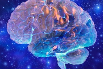 Brain Science Ascends an Intellectual Mount Everest...