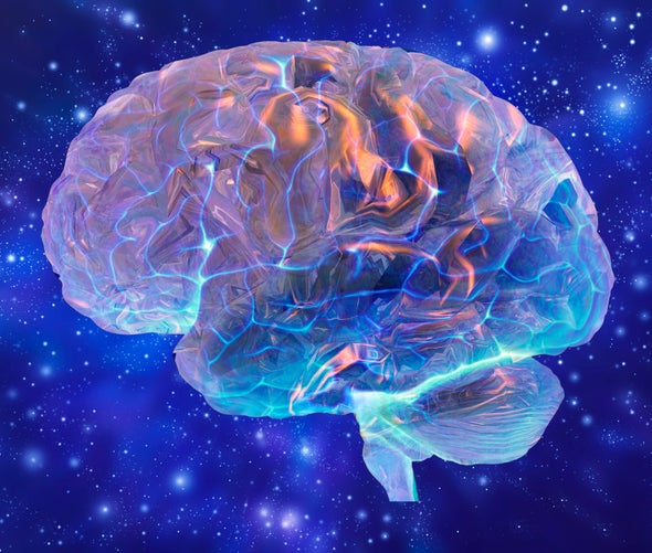 Brain Science Ascends an Intellectual Mount Everest...