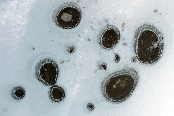 Searching for Life on Mars through the Lens of Greenland