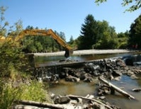 Summertime and the Dams Come Down
