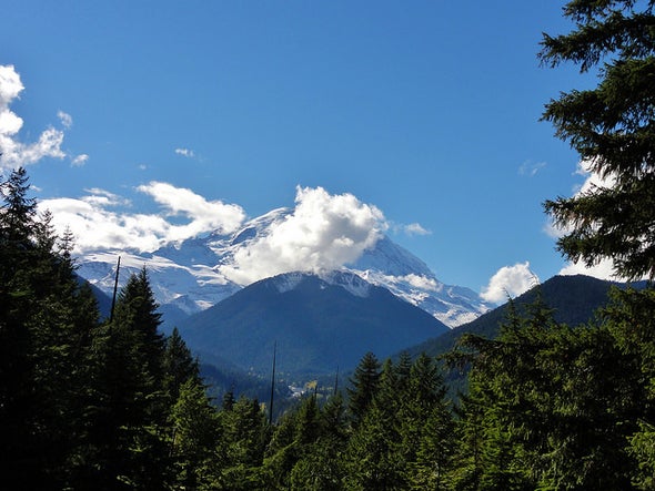 A Delicious Selection of Mount Rainier Photos