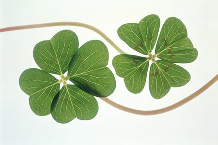 Scientific American Logo