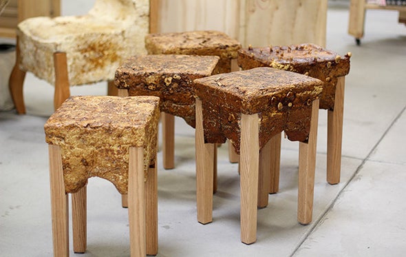 Making Furniture from Fungi