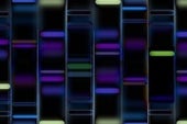 We Need More Diversity in Our Genomic Databases