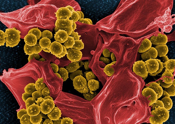 Antibiotic-Resistant Bacteria and the World's Peril