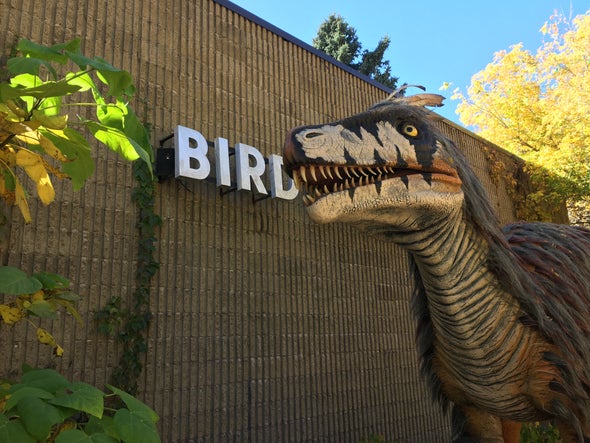 Some Dinosaurs Regurgitated Pellets Just like Birds