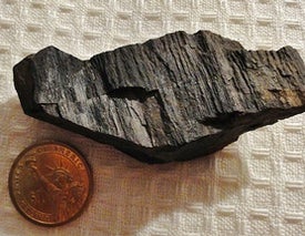 Charcoal That Can Scratch Steel: the Wild World of Permineralization