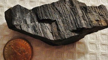 Charcoal That Can Scratch Steel: the Wild World of Permineralization
