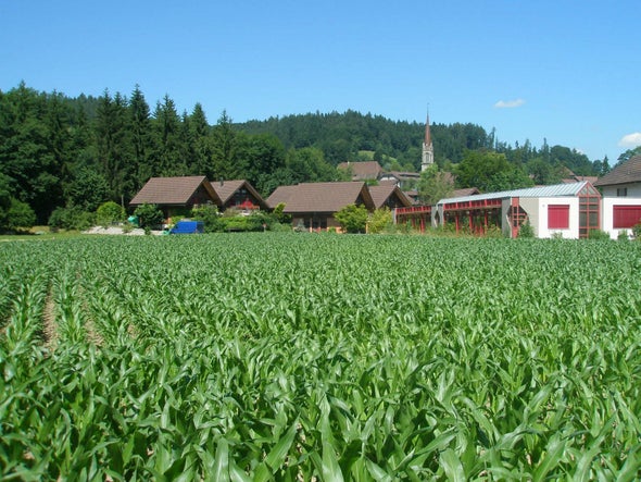 Small Farms and GMOs--Questions from a Reader