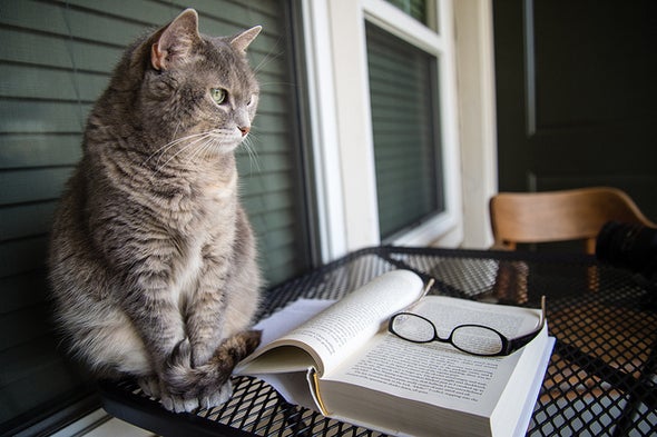 The Best Books for Cat Lovers - Scientific American Blog Network