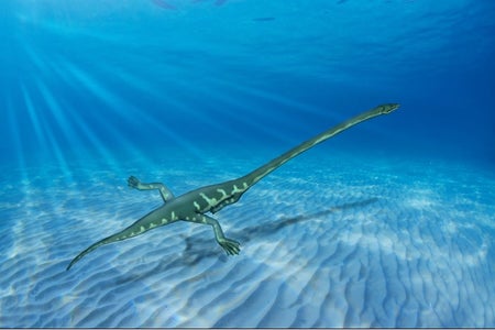 Tanystropheus