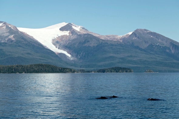 Iceless in Alaska