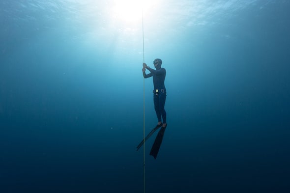 Mindfulness Under the Sea