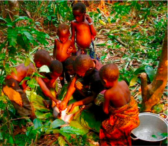 The Microbiomes of Indigenous Peoples Are Different--Does It Matter?
