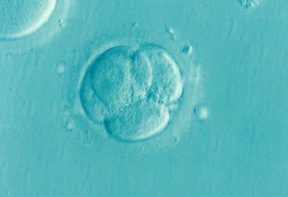 about that first gene edited human embryos story scientific
