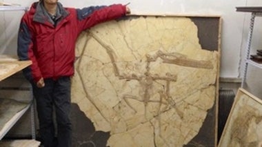 Death of a Fossil Hunter