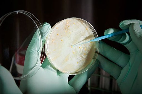 A Scientific Crisis That Starts in the Market, Not the Lab