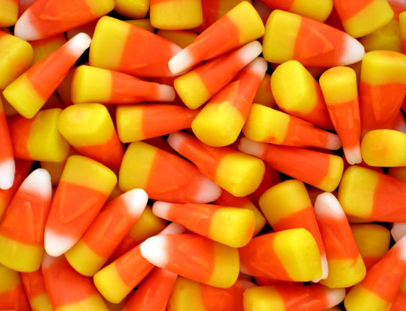 Don't Let Greedy Trick-or-Treaters Hijack Your Halloween Stash!